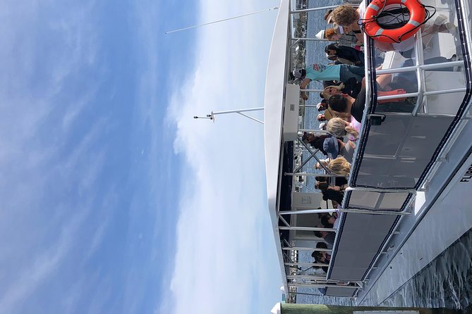 Flippers Adventures Dolphin Cruise - Preparing for the Cruise