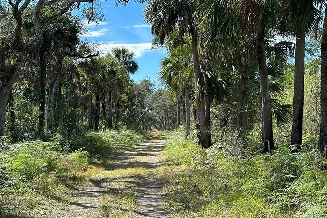 Florida Backcountry Overnight Camping Adventure Review - Safety Considerations