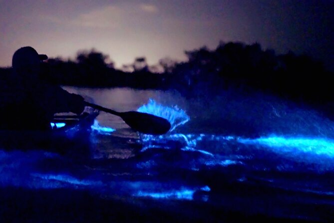 Florida Bioluminescence Clear Kayak Tour | Cocoa Beach (Kiwanis Island) - Group Size and Personalized Experience