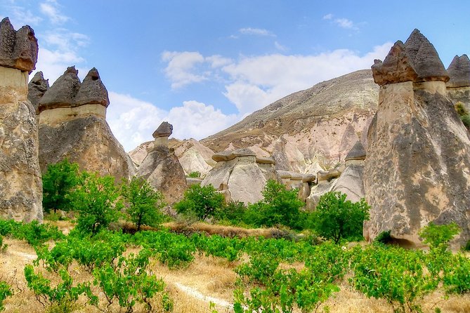 For Cruisers: 5 Days Istanbul & Cappadocia Trip - Including Hot Air Balloon Ride - Savoring Local Cuisine and Flavors