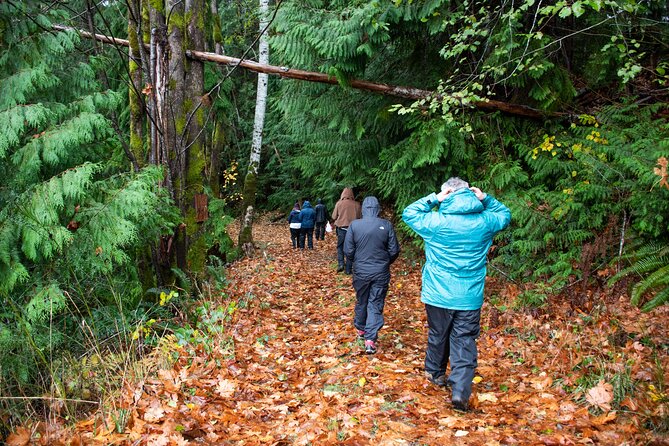 Foraging Tour of Edible Plants Review - Recommendations and Takeaways