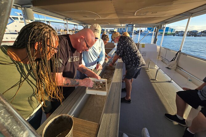 Fort Myers Beach Sightseeing Tour Review - Positive Guest Experiences