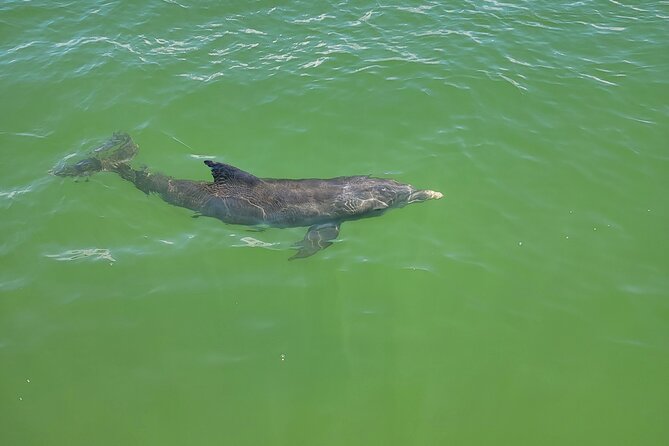 Fort Myers Beach Sunset Excursion - Weather Considerations