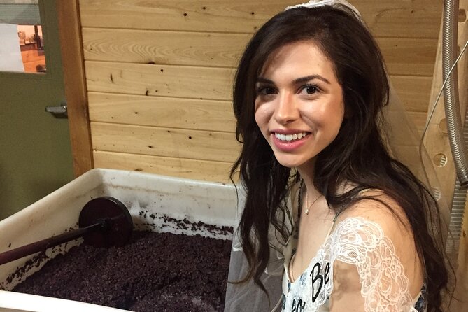 Fredericksburg Hill Country Aficionado Wine Tour From San Antonio - Transportation