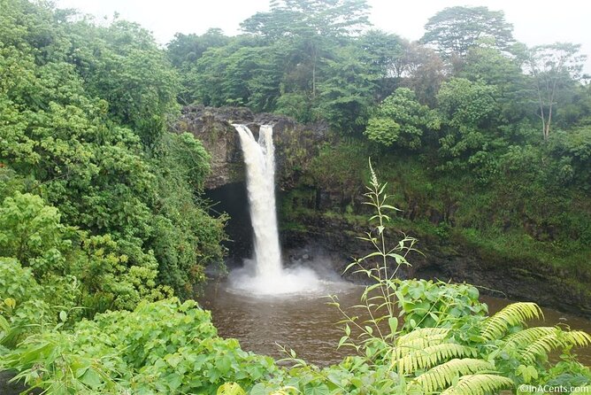 From Big Island Hilo Private Volcanoes and Waterfalls Tour - Frequently Asked Questions