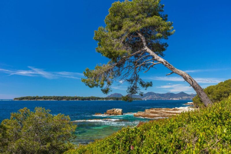 From Cannes: Round-Trip Ferry to Ste. Marguerite Island - Attractions on the Island