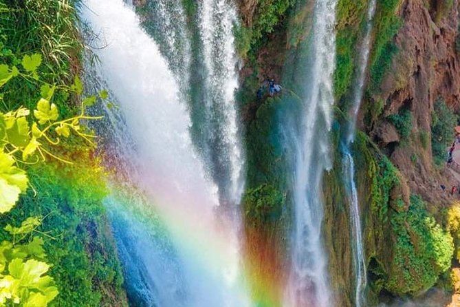 From Marrakech :Ouzoud Waterfalls ;Local Guide. Cruise Boat - Reviews and Traveler Experiences