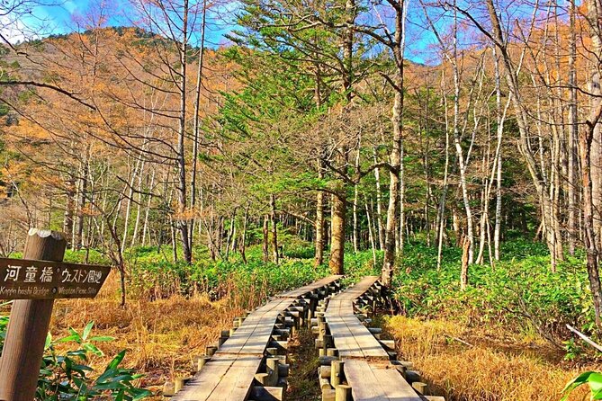 [From Nagano] Private 1-day Kamikochi & Matsumoto Tour - Participant Requirements