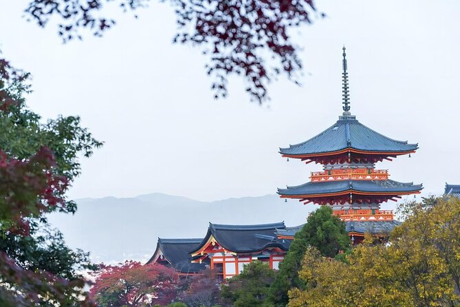 From Osaka: 10-hour Private Custom Tour to Kyoto - Customizing Your Tour Experience