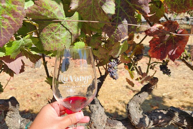 From SF: Napa and Sonoma Valley Wine Experience With 3 Wineries - Customer Reviews and Feedback