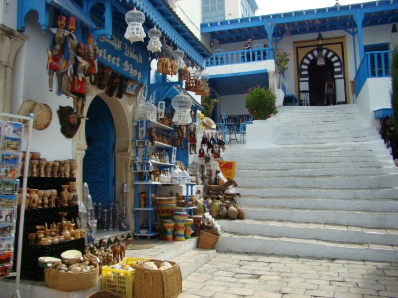 From Tun or Hammamet: Day Trip to Sidi Bou Saïd and Carthage - Tour Inclusions and Recommendations