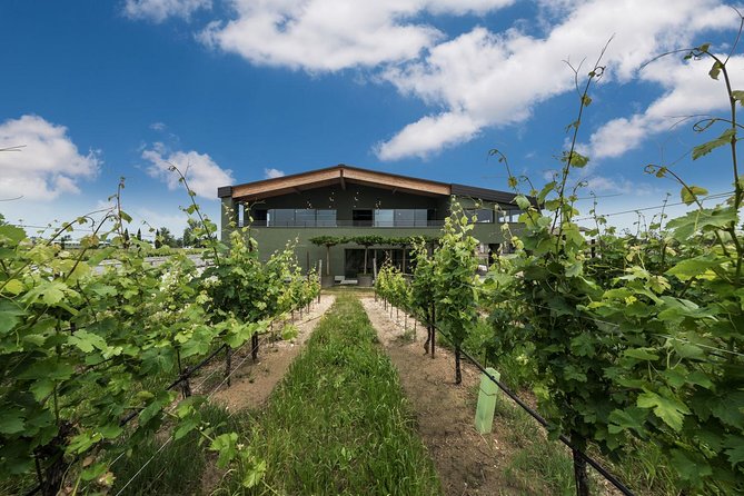 From Verona and Garda: Visit to Sirmione and Lugana Wine Experience - Pricing and Booking Details