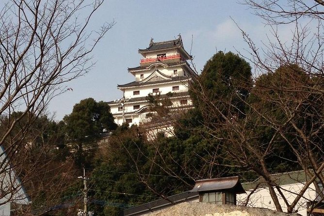 Fukuoka Nature and Cultural Sightseeing Tour - Tour Accessibility and Requirements