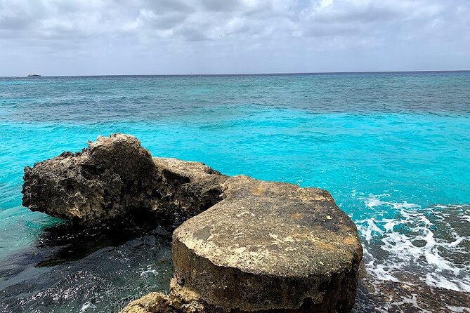 Full-Day Catamaran Cozumel Tour With Sky Snorkeling and Club - Recommendations for Participants