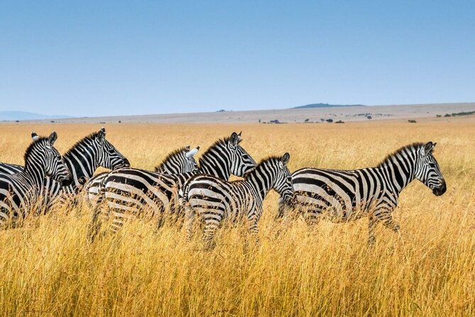 Full Day Durban & Phezulu Safari Park Private Tour From Durban - Accessibility Options