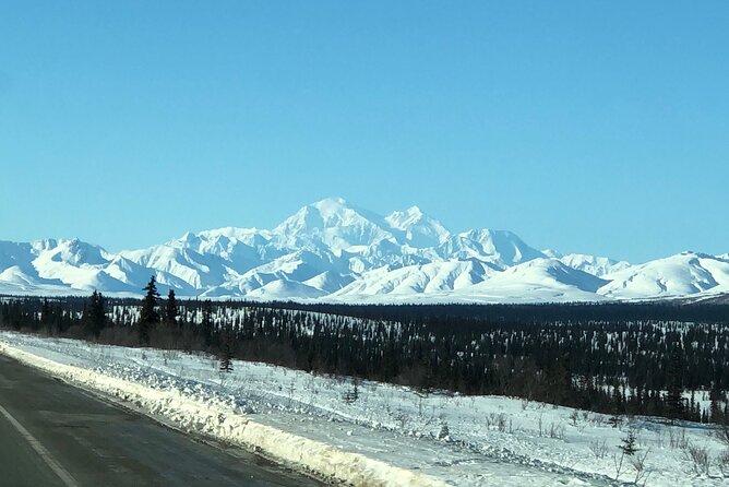 Full Day Fairbanks to Denali Winter Adventure Tour - Pricing and Booking