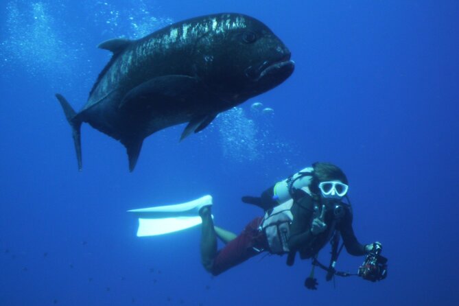 Full Day Guided Boat 2diving in Kerama Islands（License Required） - About the Kerama Islands