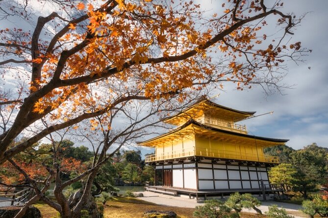 Full Day Guided Kyoto Cultural Tour - Traveler Reviews