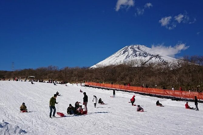 Full Day Guided Trip to Mt. Fuji and Hakone From Tokyo - Weather Considerations