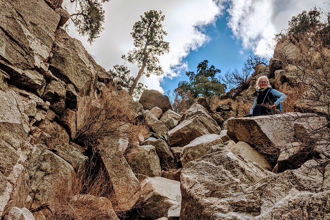 Full Day Hike in Joshua Tree National Park - Logistics and Meeting Points