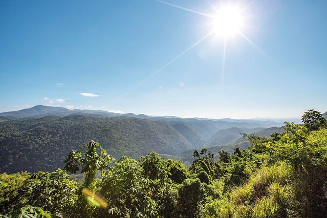 Full-Day Kingston and Blue Mountains Private Guided Tour - What to Bring