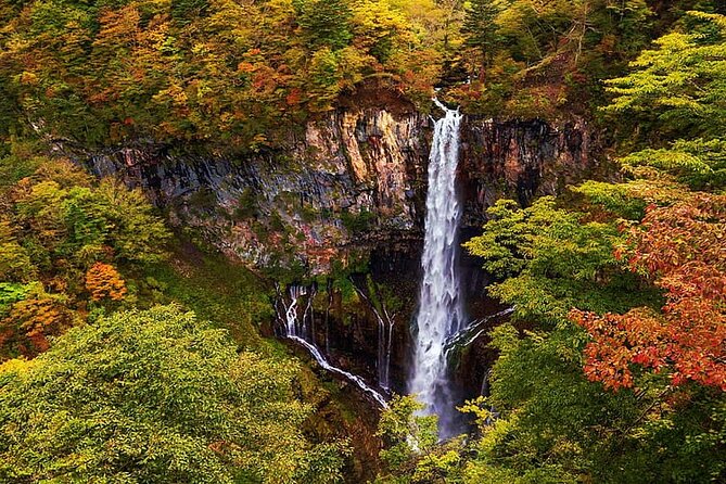 Full Day Nikko Private Tour With Multilingual Chauffeur - Accessibility and Participation