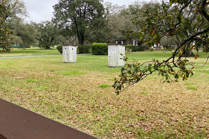 Full-Day Oak Alley Plantation & Large Airboat Swamp W/Transfer - Traveler Feedback and Experiences