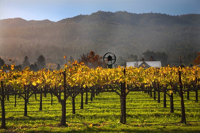 Full-Day Private Amador County Wine Tour From San Francisco - Booking and Payment Information