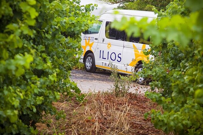 Full Day Private Cape Winelands - Pickup Information