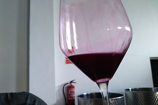 Full Day Private Requena Wineries Premium Tastings - Important Policies