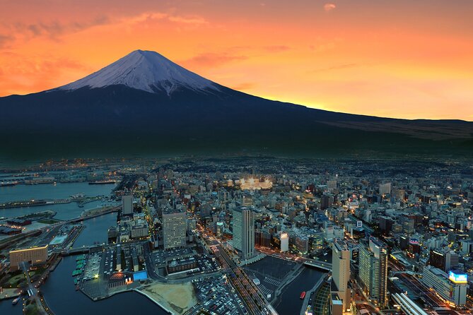 Full Day Private Tour in Mt. Fuji and Hakone - Seasonal Highlights