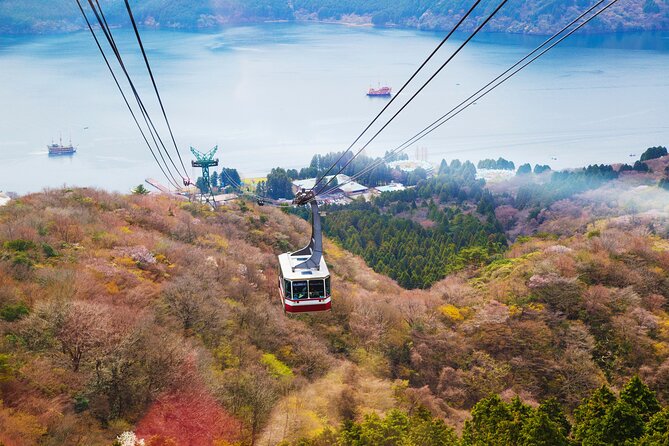 Full Day Private Tour Mt. Fuji, Hakone and Lake Ashi - Discovering Lake Ashi