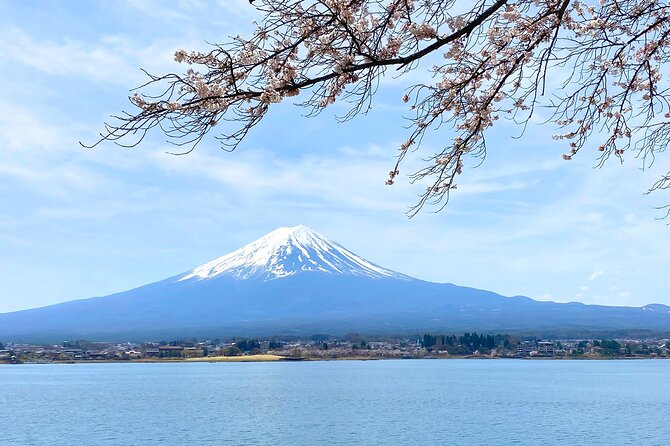 Full Day Private Tour to Mt Fuji by Luxury Vehicle - What to Expect