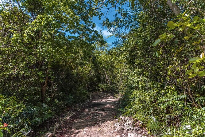 Full Day Private Tour to Scape Park From Punta Cana - What to Expect