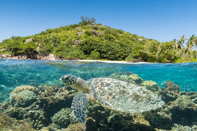 Full Day Reef Safari - St Anne Marine Park Seychelles - Highlights of the Experience