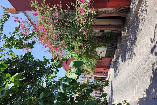 Full Day: San Miguel De Allende - Traveler Reviews
