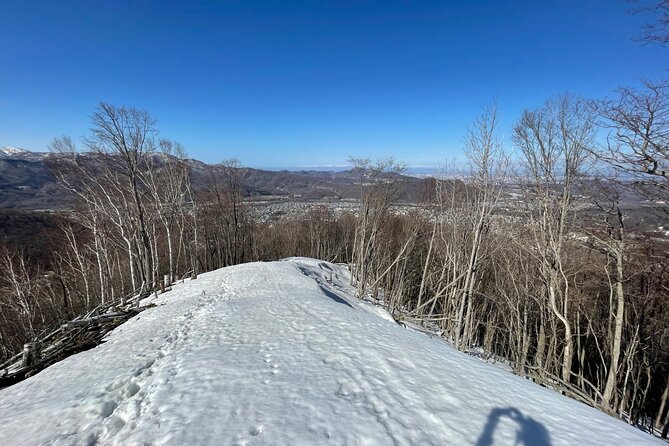 Full Day Snowshoeing Adventures With Onsen. - Booking Information and Policies