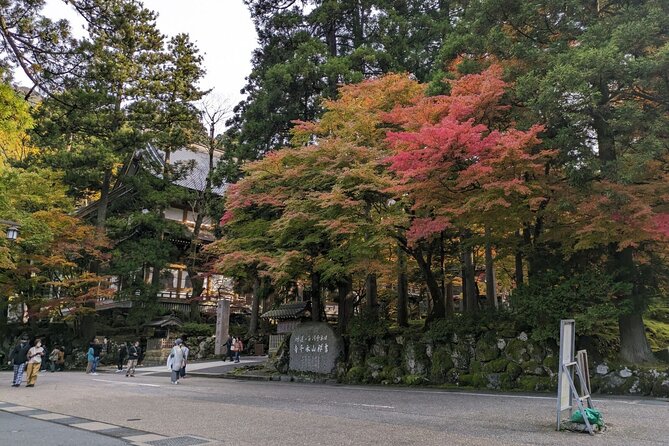Full Day Tour Eiheiji Buddhist Temple and Fukui City Castle Town - Transportation and Logistics