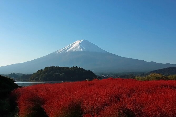 Full Day Tour in Mount Fuji and Oishi Park With Fruit Picking - Booking Information