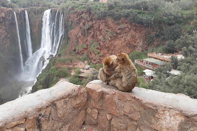 Full Day Trip to Ouzoud Waterfalls From Marrakech - What to Expect on Your Trip
