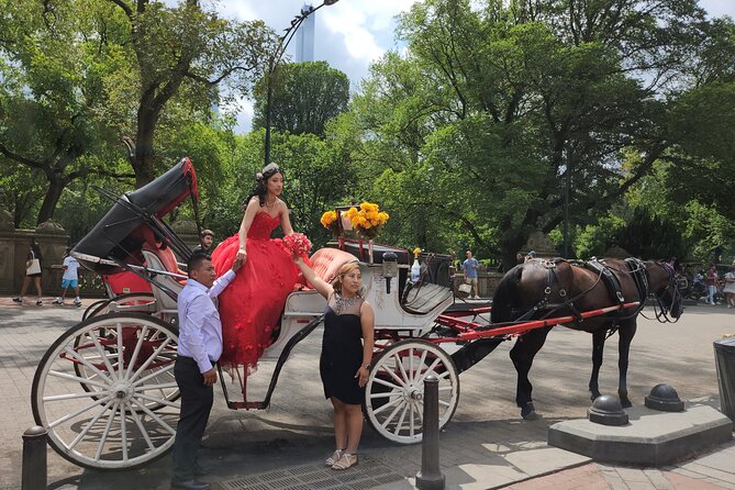Full Loop Private Horse Carriage Ride in Central Park 45 Minutes - The Carriage Ride Experience