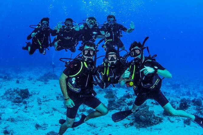 Fun Dives Cozumel South Marine Park - Accessibility Information