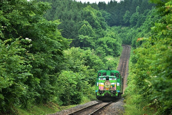 Furano & Biei 4 Hour Tour: English Speaking Driver Only, No Guide - Customizable Itinerary