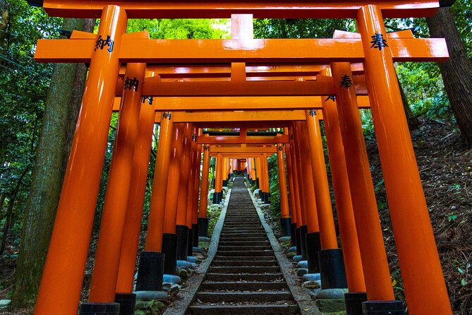 Fushimi Inari Mountain Hiking Tour With a Local Guide - Fitness and Health Considerations