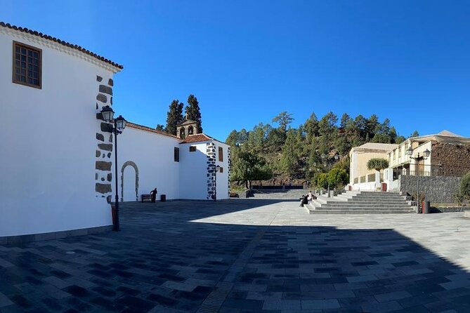 Gastro Wine Tour South Tenerife - Winery Visits