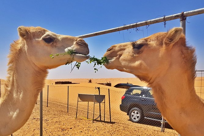 German-speaking Safari Oman - Inclusions and Exclusions