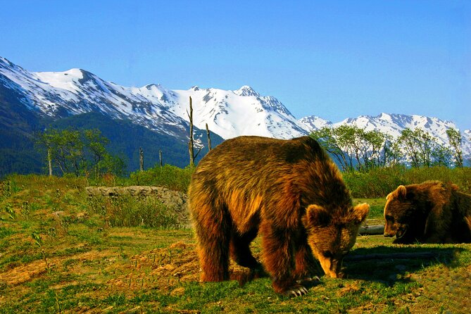 Glacier View & Wildlife Anchorage Adventure Tour - Exploring the Wildlife Conservation Center