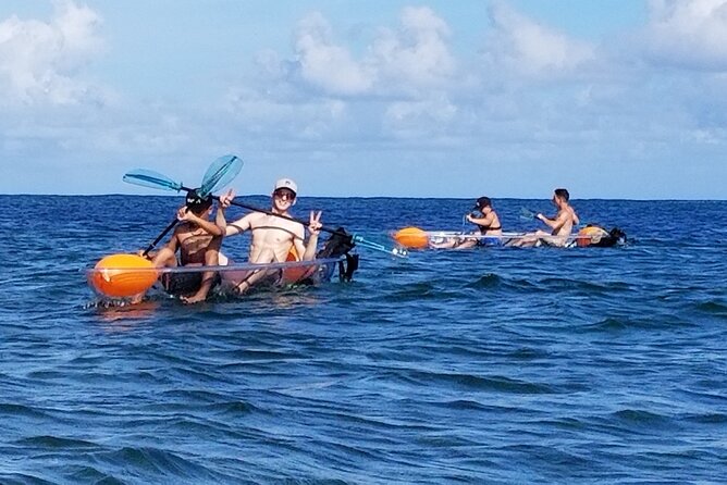 Glass Bottom Kayak - Guaranteed to See Turtles! - Paddling With a Small Group