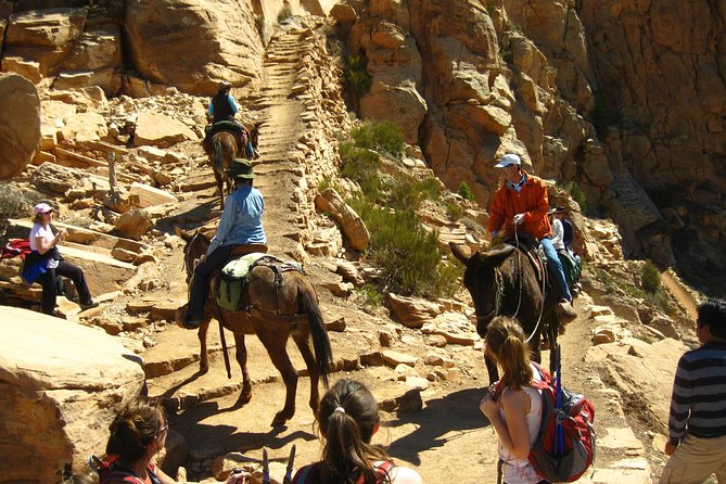 Grand Canyon Hike With Sedona Review - Hiking the South Rim Trail