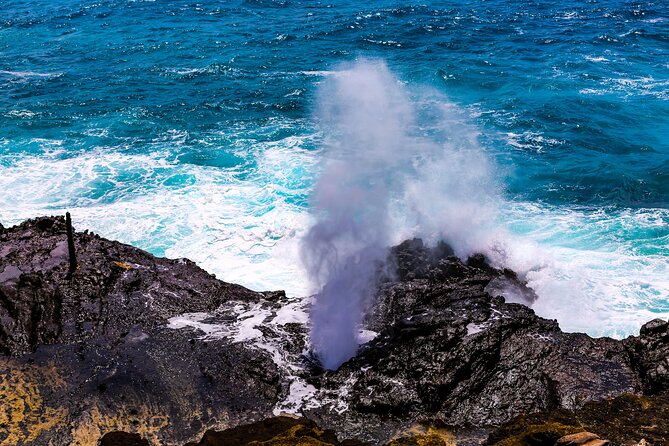 Grand Circle Island and Haleiwa 9 Hour Tour - Booking Information